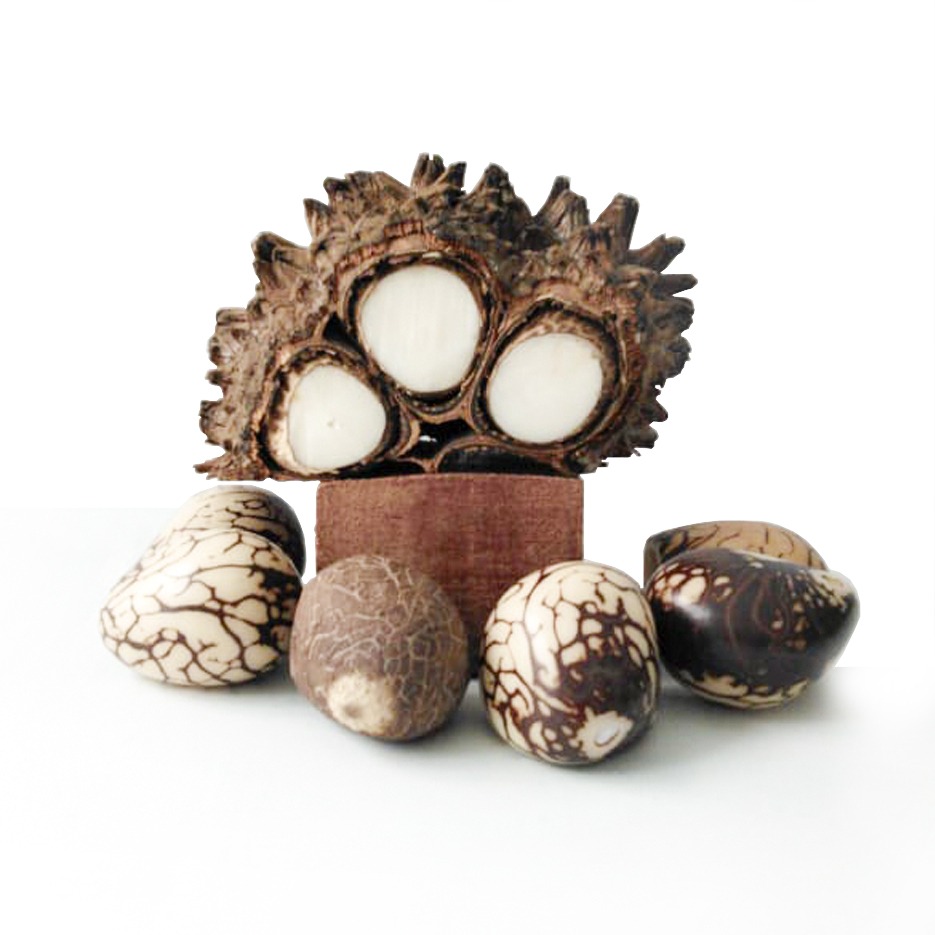 Tagua
